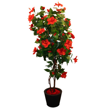 D08 Plantes d&eacute;coratives